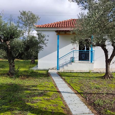 Coral Villas Kómboi Eksteriør bilde